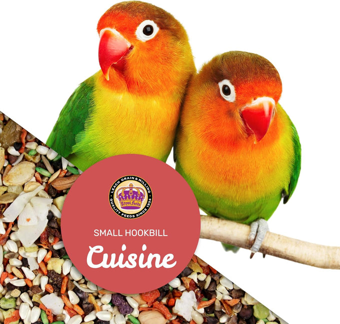 Small Hookbill Cuisine, 4 Lbs Premium Birdseed for Parrot Food, Supports Daily Energy and Digestive Health