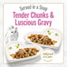 Purina Fancy Feast Petites Seared Salmon Entree With Spinach in Gravy Gourmet Wet Cat Food - (Pack of 12) 2.8 oz. Tubs