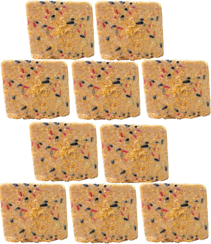 st albans bay suet plus 10 pack variety high energy wild bird suet cakes 11 oz easy-open