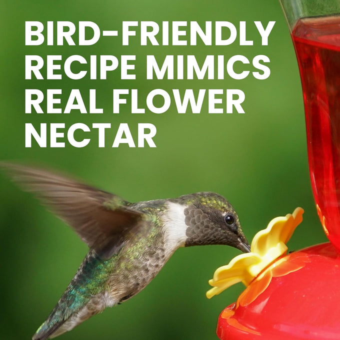 Perky-Pet 32 oz Hummingbird Nectar Concentrate for Feeders Makes 96 FL OZ Red Food Nectar