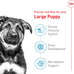 Royal Canin Large Puppy Dry Dog Food, 40 lb Bag