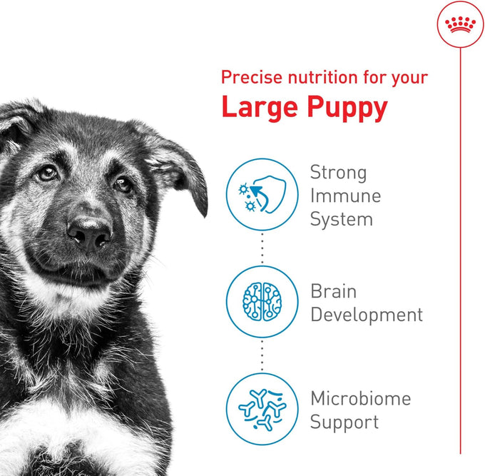 Royal Canin Large Puppy Dry Dog Food, 40 lb Bag