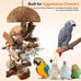 natural bird toys for parrots - handmade coconut shell shredding toy for sun conures conures caiques cockatiels