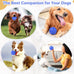 diissknic indestructible squeaky dog ball relieves anxiety, cleans teeth, interactive chew toy for aggressive chewers, large breed outdoor waterproof