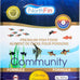 Northfin fish food community formula slow sinking pellets 0.5mm diameter 100g