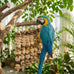 14.5" Extra Large Macaw Bird Chewing Toy with Natural Wood, Corn Cobs and Rattan Balls for African Grey, Cockatoos