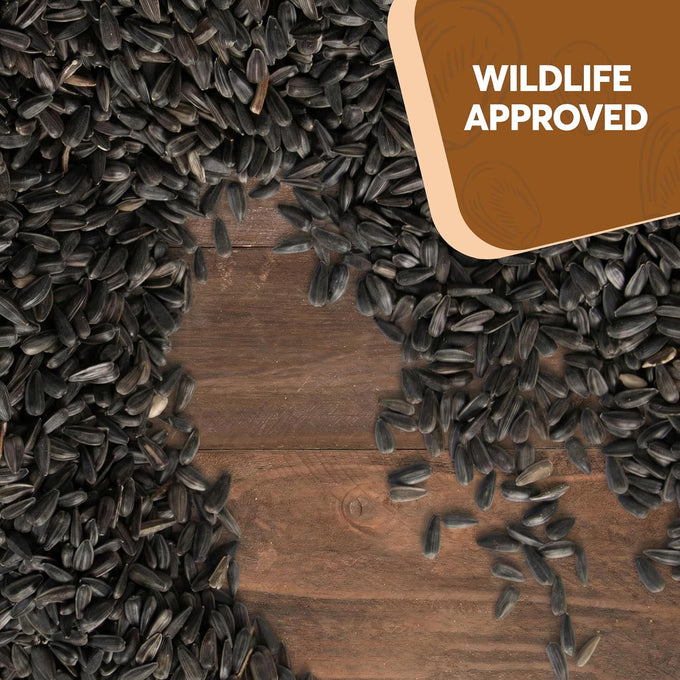 15 LB Black Oil Sunflower Seeds for Birds - Premium Wildlife Food - Non-GMO - Grown in the USA