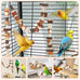 Bird Toys Parrot Natural Foraging Box Medium for Parakeets, Cockatiels, Conures, Small to Medium Birds Cage Accessories