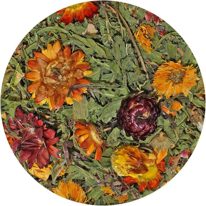 Exotic Nutrition Pasture Plus+ Dandelion Delicacy - Natural High-Fiber Dried Flower Treat for Herbivorous Small Pets