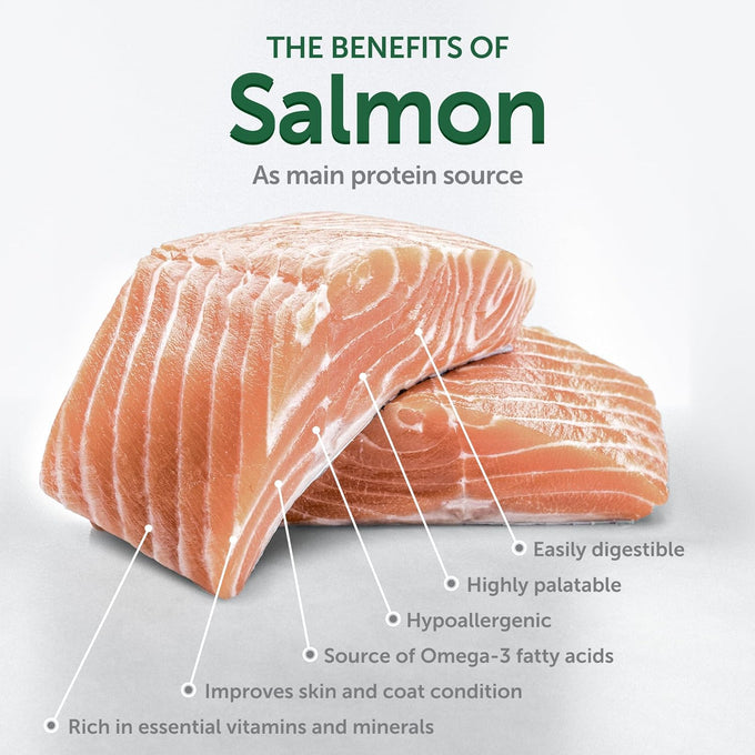 Nature's Protection High Protein Puppy Food Dry, Grain Free Salmon, 3.3 lb, Small & Large Breed Dogs