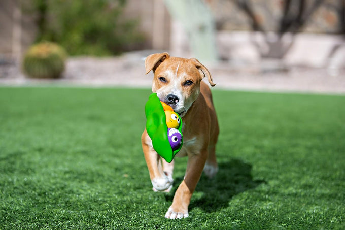 Multipet Three Peas in A Pod Dog Toy for Gentle Chewers, 3 Squeaky Latex Balls