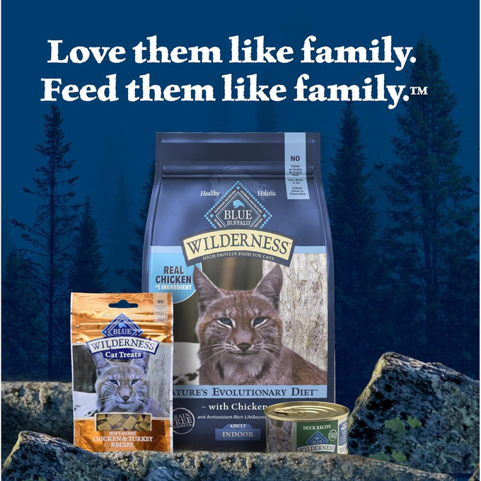 Blue Buffalo Wilderness Duck Paté Grain-Free Wet Cat Food for Adults, 24 x 3-oz Cans