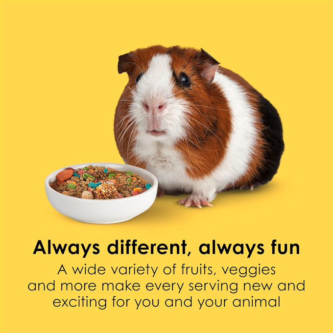 Kaytee Fiesta guinea pig food, 4.5 pounds, nutritious blend for dental health and digestion
