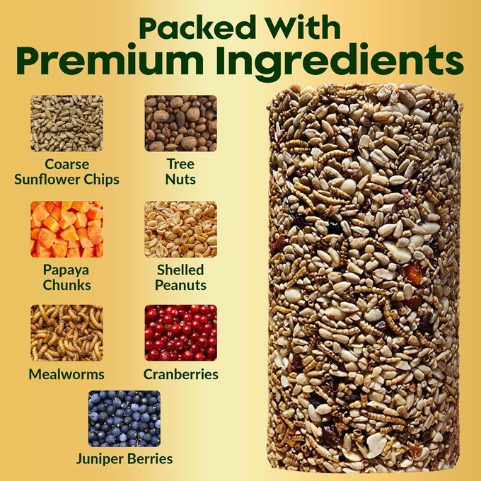4 inch x 7.75 inch Flockin' Bugs Nuts and Berries Bird Seed Cylinders with Hole for Blue Birds and Woodpeckers