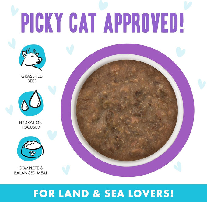 Weruva B.F.F. cat food, 2.8oz cans, pack of 12, grain-free, gluten-free, beef & salmon in gravy