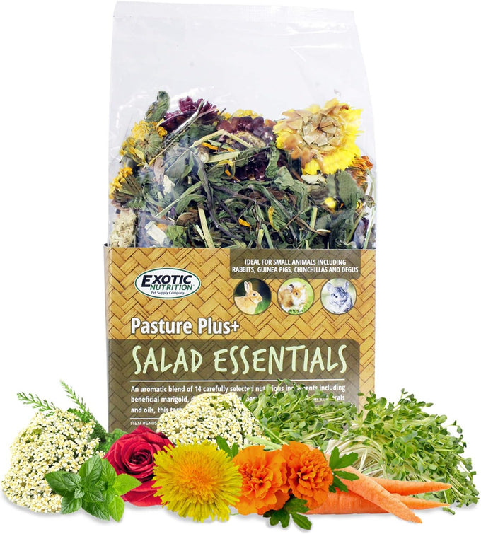 Exotic Nutrition Pasture Plus+ high-fiber dried flower & herb treats for herbivorous small pets like guinea pigs, rabbits, and chinchillas