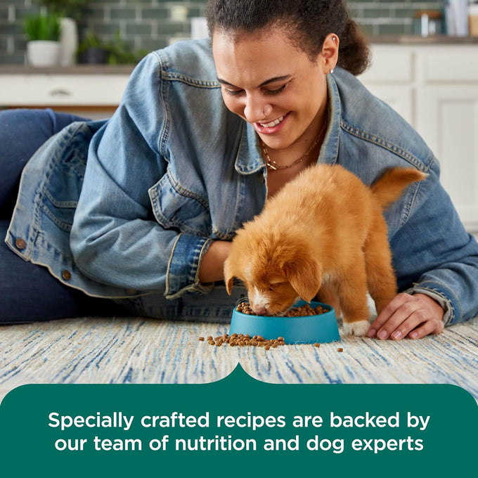 Nutrish Rachael Ray Real Chicken & Brown Rice Puppy Dog Food, 5 lb