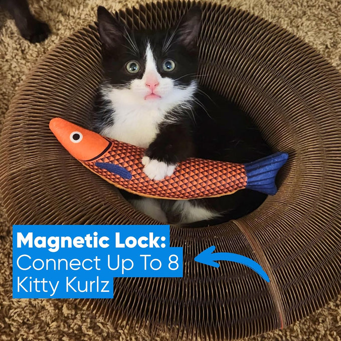 Kitty Kurlz 3-in-1 Cat Toy & Scratcher, Collapsible Ball Track with Bell, Reversible Cardboard Lounge for Indoor Cats