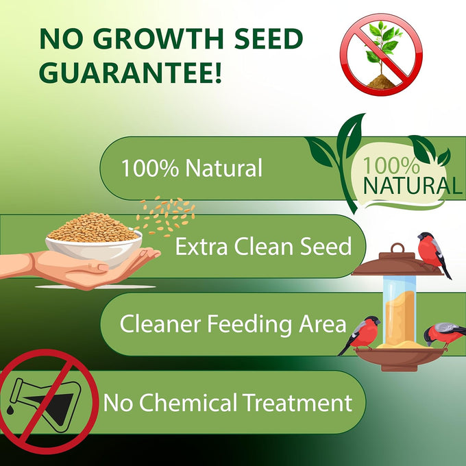 Happy Wings Nyjer/Thistle seeds 10 pounds no grow bird seed for wild finches and songbirds