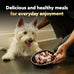 Cesar Wet Dog Food Variety Pack, Breakfast & Dinner Flavors, 3.5 oz Trays