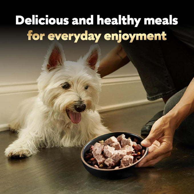 Cesar Wet Dog Food Variety Pack, Breakfast & Dinner Flavors, 3.5 oz Trays