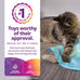 SmartyKat battery-powered electronic motion toys for cats and kittens, multiple styles available