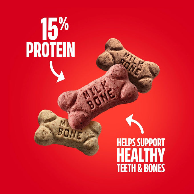 Milk-Bone Flavor Snacks Mini's dog biscuits, 36 Oz canister, beef, chicken, bacon flavors