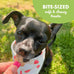 buddy-biscuits-softies-6-oz-natural-roasted-chicken-flavor-dog-treats-oven-baked-in-the-usa