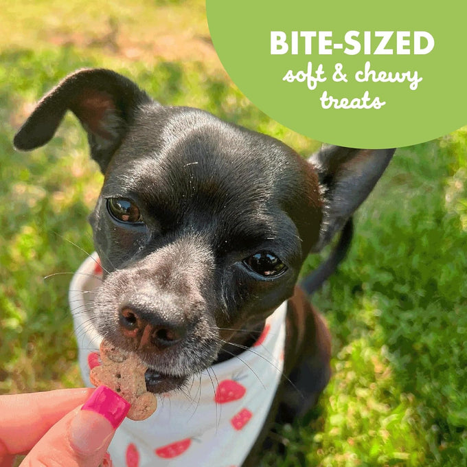 buddy-biscuits-softies-6-oz-natural-roasted-chicken-flavor-dog-treats-oven-baked-in-the-usa