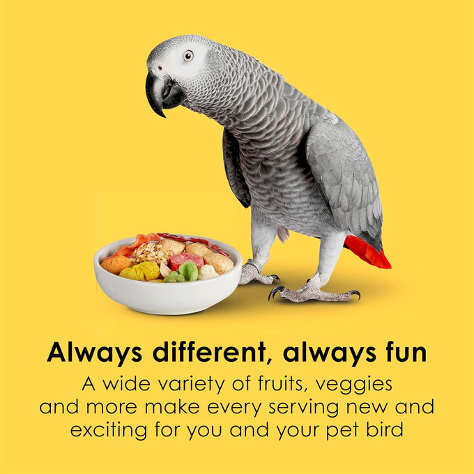 kaytee fiesta parrot food 2.5 pounds nutritious fun blend supports skin feather digestion brain heart health