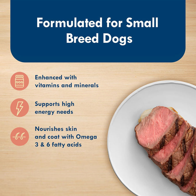 Blue Buffalo Delights natural adult small breed wet dog food, grain-free, filet mignon flavor, 3.5-oz cups, pack of 12