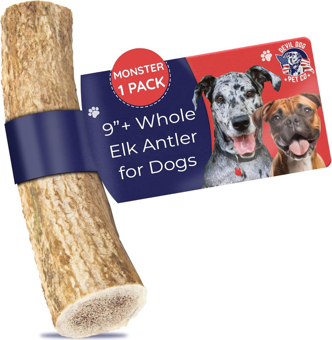 Devil Dog Pet Co. Medium 5+ USA Sourced Natural Elk Antler Dog Chew for Aggressive Chewers