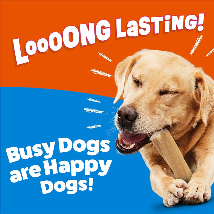 Purina Busy Bone Adult Dog Chew Treats Peanut Butter 10ct Pouch for Long Lasting Dental Care