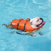 Outward Hound Granby Splash Orange Dog Life Jacket, Medium, High-Visibility, Adjustable Fit, Ripstop Material
