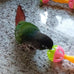 22-piece parakeet bird toy set with colorful bell and rattan balls, safe, non-toxic materials for small birds