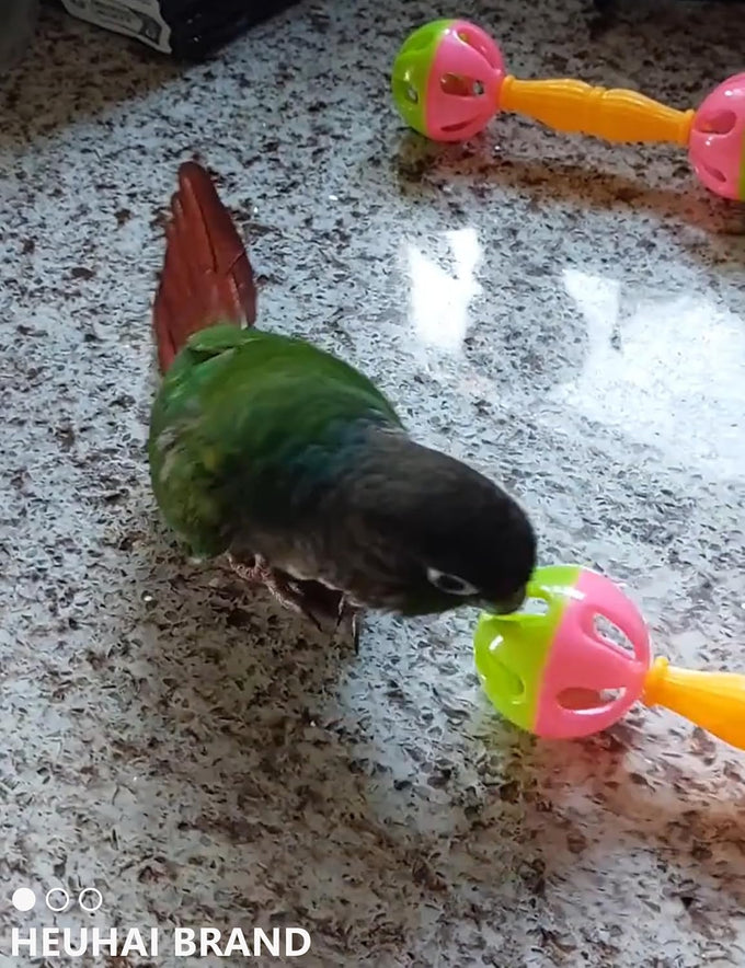 22-piece parakeet bird toy set with colorful bell and rattan balls, safe, non-toxic materials for small birds