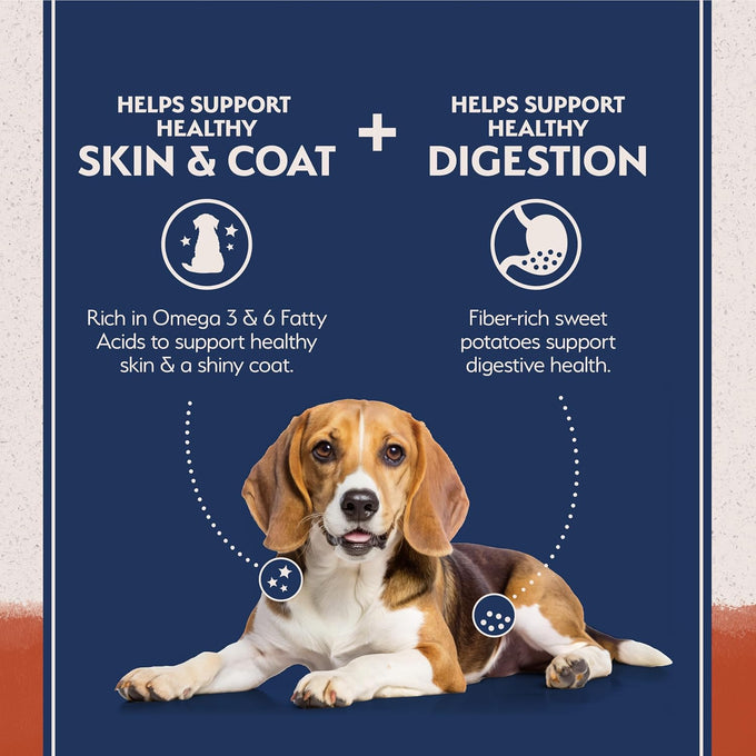 Natural Balance Limited Ingredient Grain-Free Salmon Dog Food