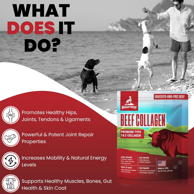 Grass fed Collagen for Dogs supports healthy skin, coat, hip, joint care and cartilage support for dogs with 100% all natural collagen
