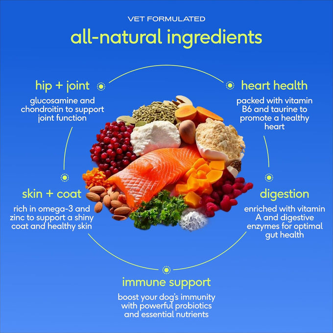 native pet the daily dog vitamins & supplements 11-in-1 multivitamin powder for dogs supports whole body health digestion mobility & immunity