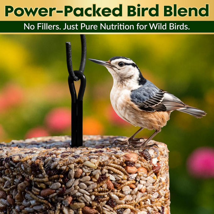 4 inch x 7.75 inch Flockin' Bugs Nuts and Berries Bird Seed Cylinders with Hole for Blue Birds and Woodpeckers