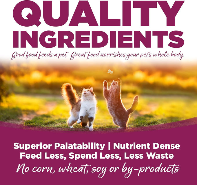 NutriSource grain inclusive dry cat food, 12LB chicken and rice recipe for all life stages