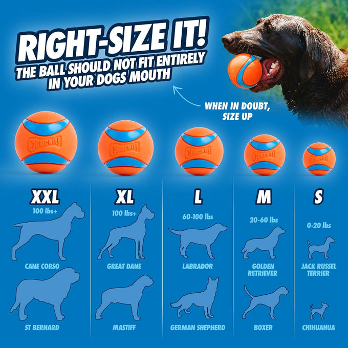 Chuckit! Ultra Ball Dog Toy - Medium Rubber Bouncy Fetch Balls for 20-60 lb Dogs - 2.5-inch Diameter, Pack of 2