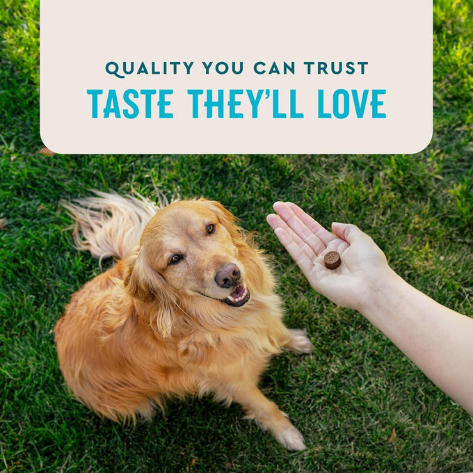 VetIQ Glucosamine Hip & Joint Supplement for Dogs, 180 Soft Chews, Chicken Flavored Chewables for Large & Small Breeds