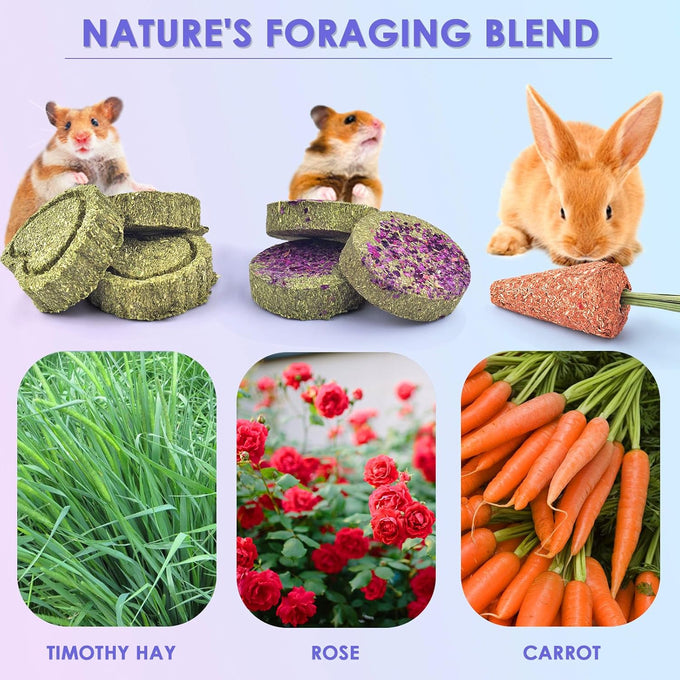 KATUMO 24PCS natural rabbit chew treats, timothy hay sticks, carrot sticks, healthy bunny toys, small animal chews