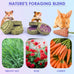 KATUMO 24PCS natural rabbit chew treats, timothy hay sticks, carrot sticks, healthy bunny toys, small animal chews