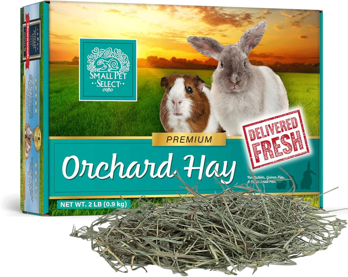 Small Pet Select premium US-grown orchard grass hay for rabbits, guinea pigs, and chinchillas, 10 LB bag