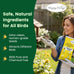 happy-wings-black-oil-sunflower-seeds-5-lb-wild-bird-food-for-cardinals-finches-and-chickadees