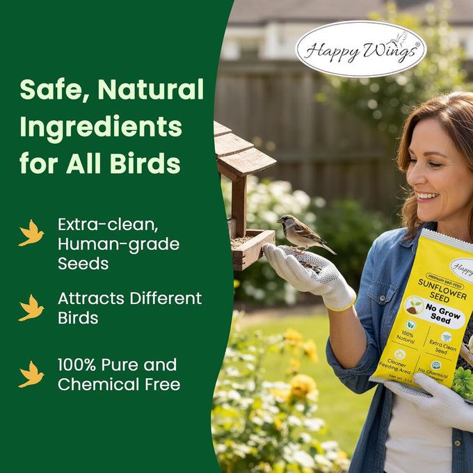 happy-wings-black-oil-sunflower-seeds-5-lb-wild-bird-food-for-cardinals-finches-and-chickadees