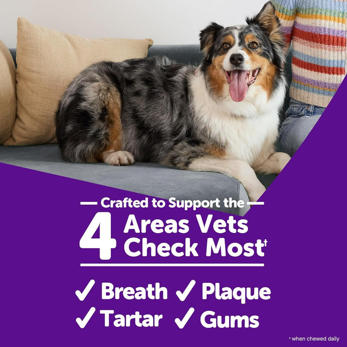 Whimzees Wellness Brushzees Small Size Dog Dental Treats, 24 Count, 12.7 oz Bag – VOHC Accepted Chews for Fresher Breath, Plaque & Tartar Reduction, and Gum Health.
