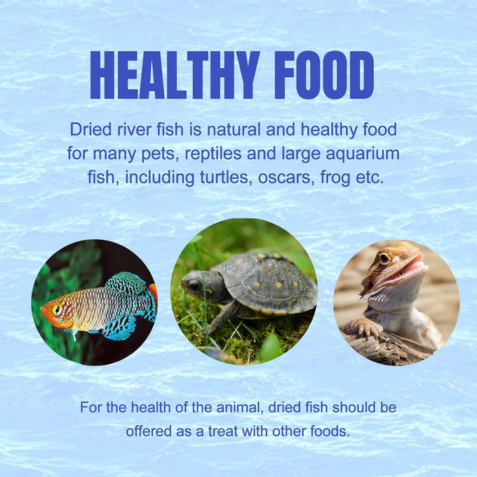 Amzey 2.3 oz dried whole river fish for turtles, terrapins, reptiles, and large tropical fish - natural and healthy